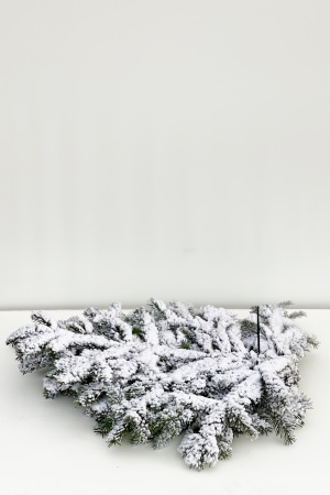 Ballot de Branches de Nordmann Blanc 80/100cm