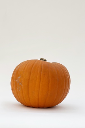 Jack O\'Lantern 20/25cm 2/4kg