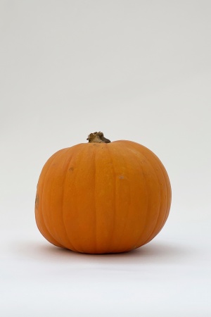 Jack O\'Lantern 30/35cm 6/8kg