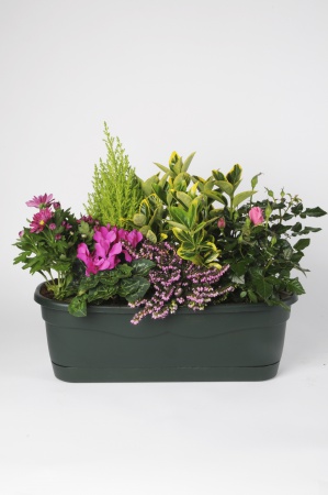 Jardinière 6 Plantes 50cm x D50