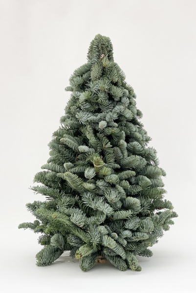 Sapin Christmas 3D 120cm