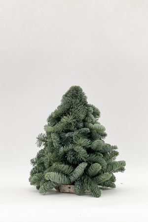 Sapin Christmas 3D 30cm