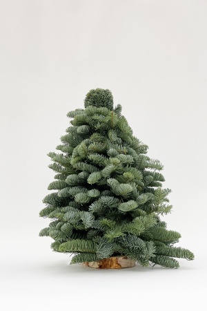 Sapin Christmas 3D 40cm