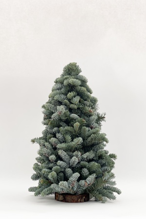 Sapin Christmas 3D 50cm