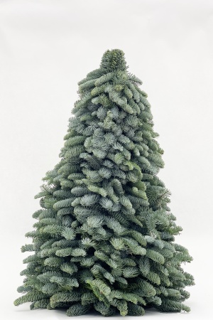 Sapin Christmas 3D 80cm