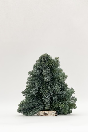 Sapin Christmas Tree 2D 30cm