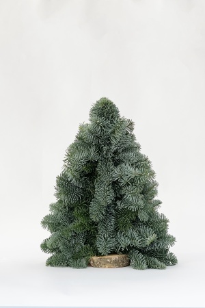 Sapin Christmas Tree 2D 40cm