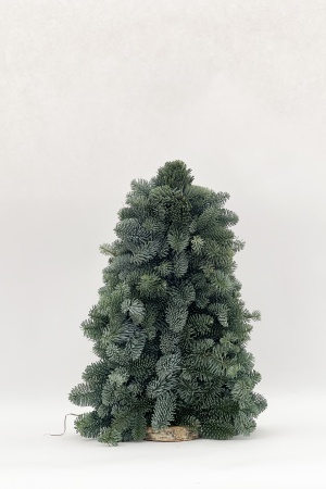 Sapin Christmas Tree 2D 50cm