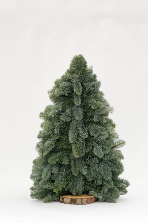Sapin Christmas Tree 2D 60cm
