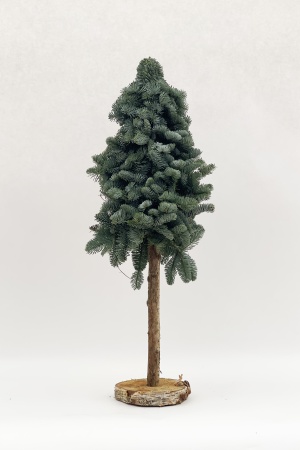 Sapin sur Pied Nobilis 40cm (+pied 40cm)