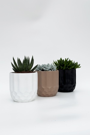 Succulentes Mélange Cache Pot 28cm x D14