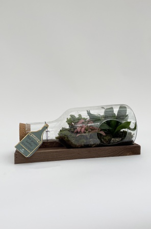 Terrarium Plantes \ Bouteille à la mer\  20cm x D38