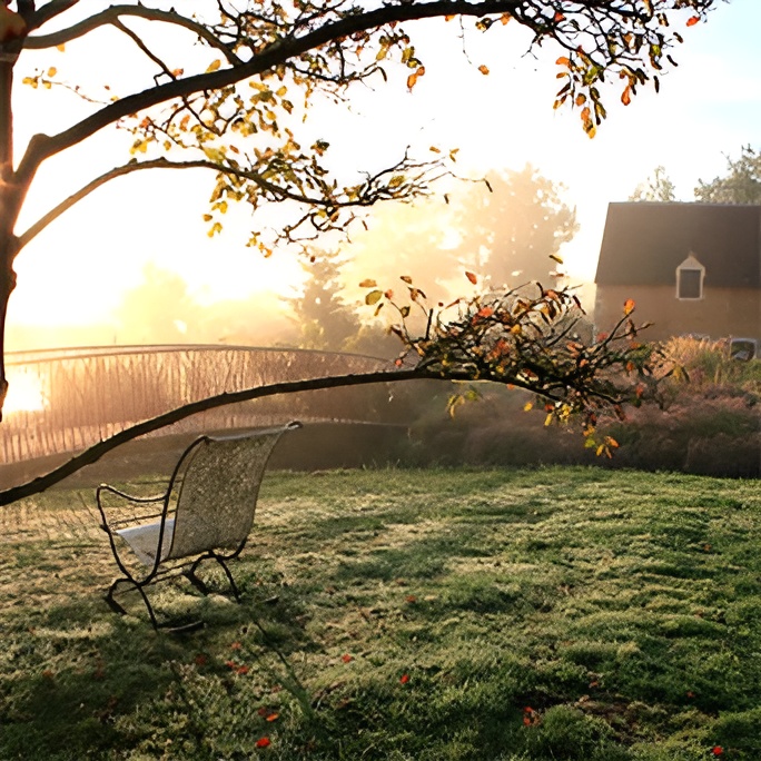 image d'un jardin