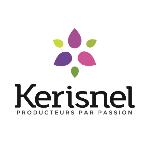 logo kerisnel