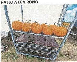 image produit CUCURBITA HALLOWEEEN ROND X1